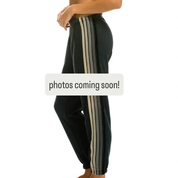 Aviator Nation Five Stripe Sweatpants Charcoal Grey - Picture 7 of 7